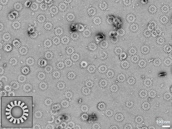 DNA-Origami-Objekte zusammengesetzt aus V-foermigen Untereinheiten