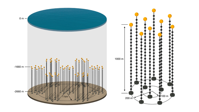 Skizze des geplanten Neutrino-Teleskops P-ONE im Pazifischen