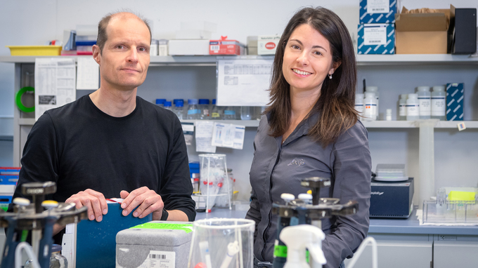 Prof. Ulrich Gerland und Mitautorin Elena Biselli im Labor.